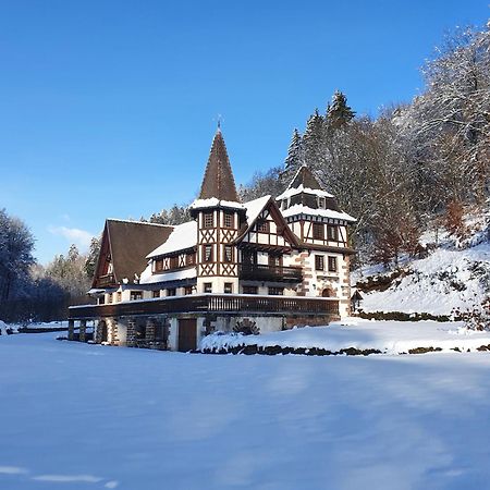 Villa Le Saint Moulin De La Petite Pierre Lohr Exterior foto