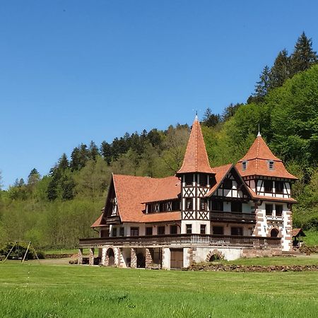 Villa Le Saint Moulin De La Petite Pierre Lohr Exterior foto