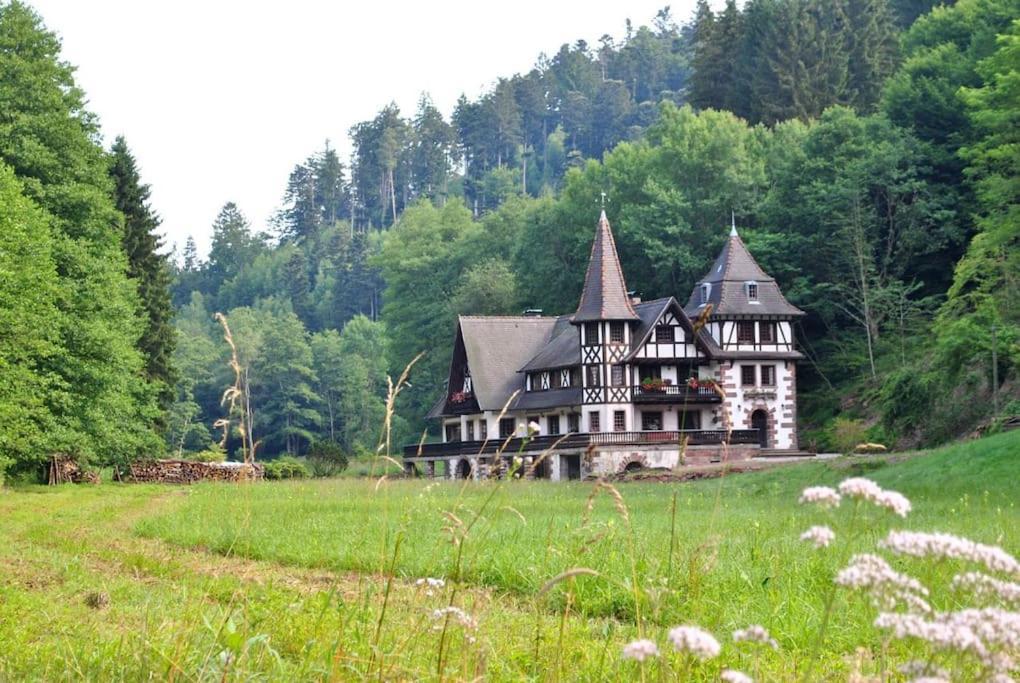 Villa Le Saint Moulin De La Petite Pierre Lohr Exterior foto